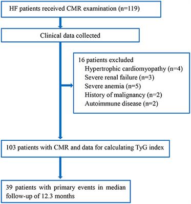 Triglyceride–Glucose Index and Extracellular Volume Fraction in Patients With Heart Failure